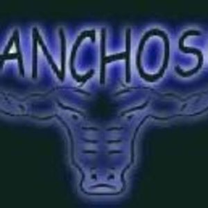 Meet your Posher, Sanchoso